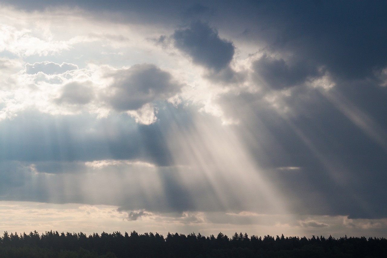 属羊明星风采熠熠，星光闪耀魅力无限