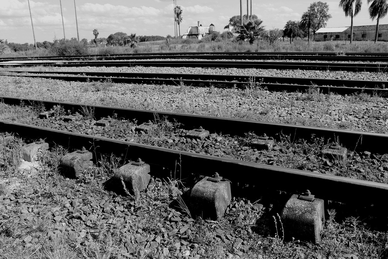 孟州铁路工程最新进展报告