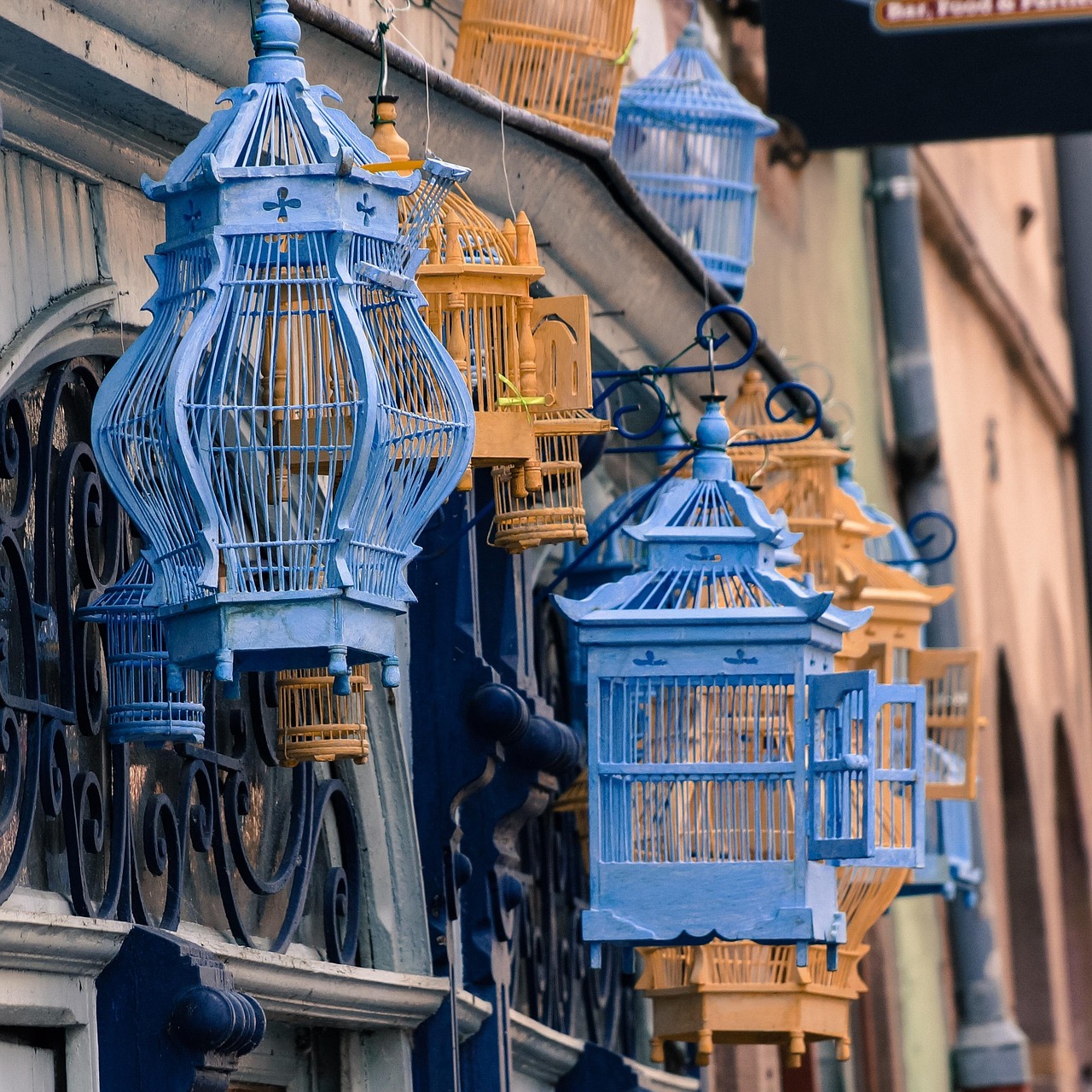 探索成人电影的多元世界,三级电影的深度解析