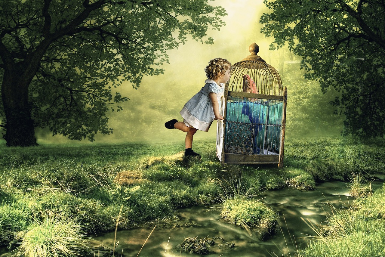 壁纸与动漫卡通的梦幻世界探索