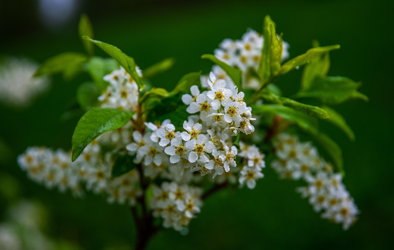 罗定苏光荣，持续前行的步伐与不断深化的影响力最新动态