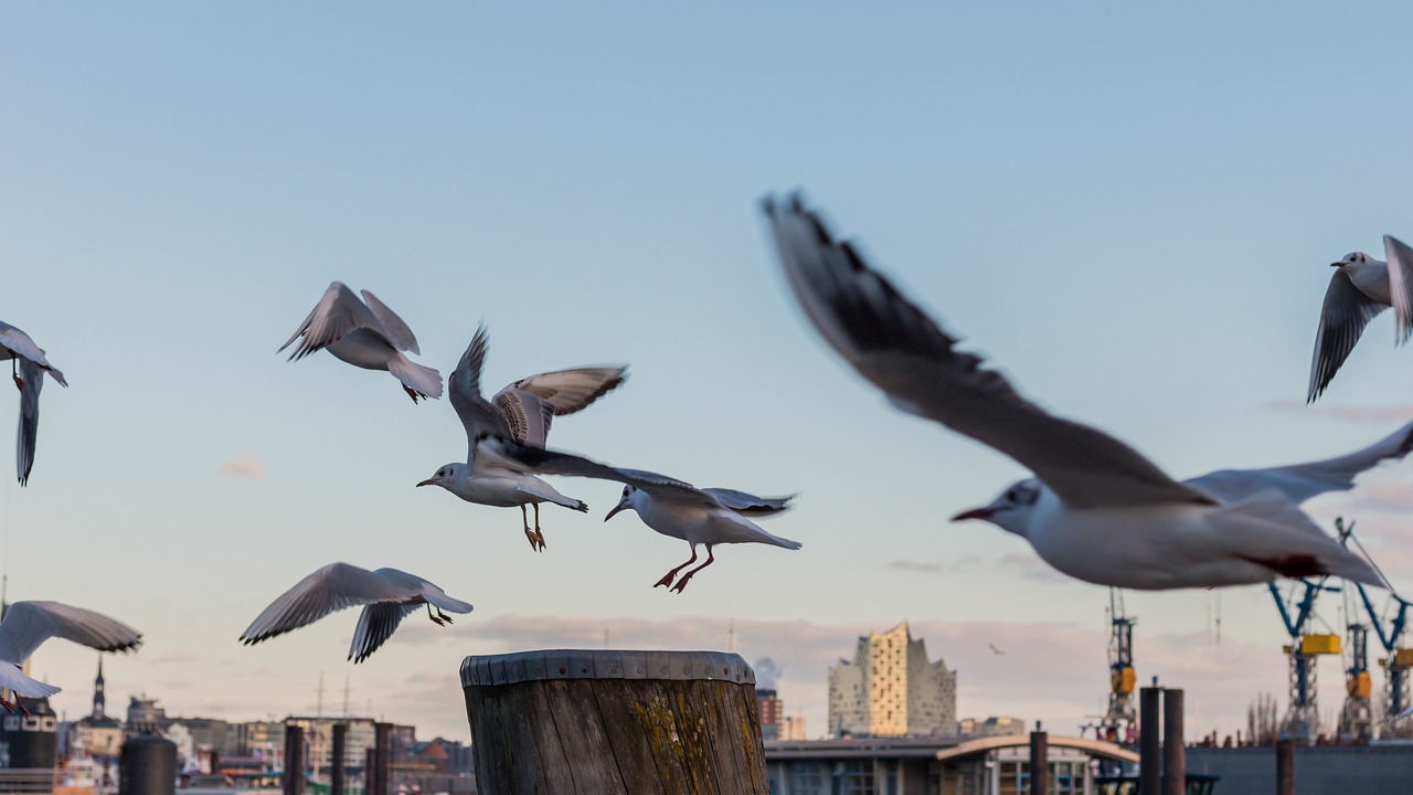 宁波世捷2017最新动态，迈向未来的步伐与展望
