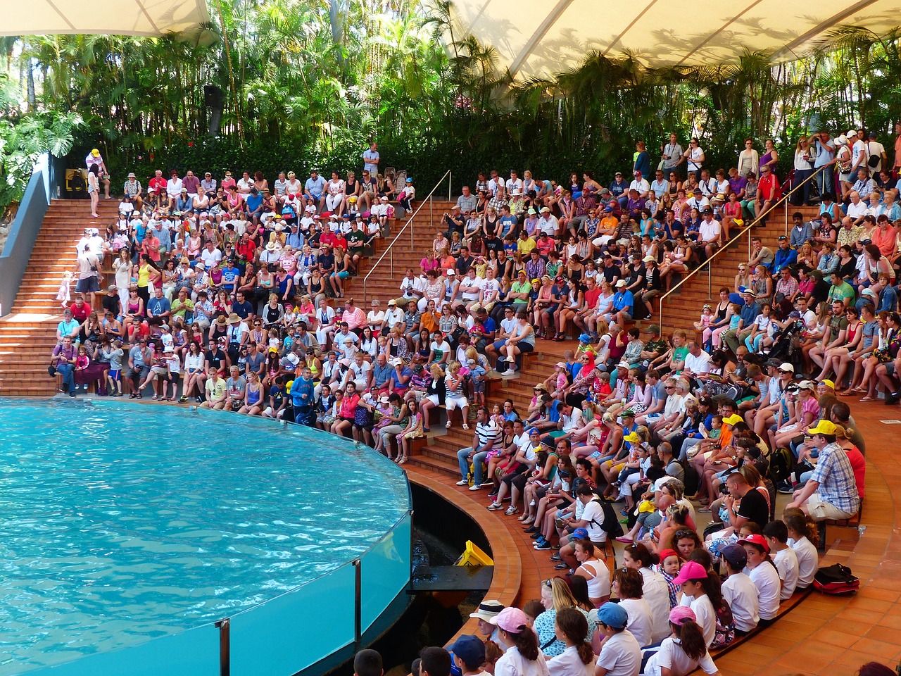 比赛，激情与荣耀的舞台展现才华与竞技风采