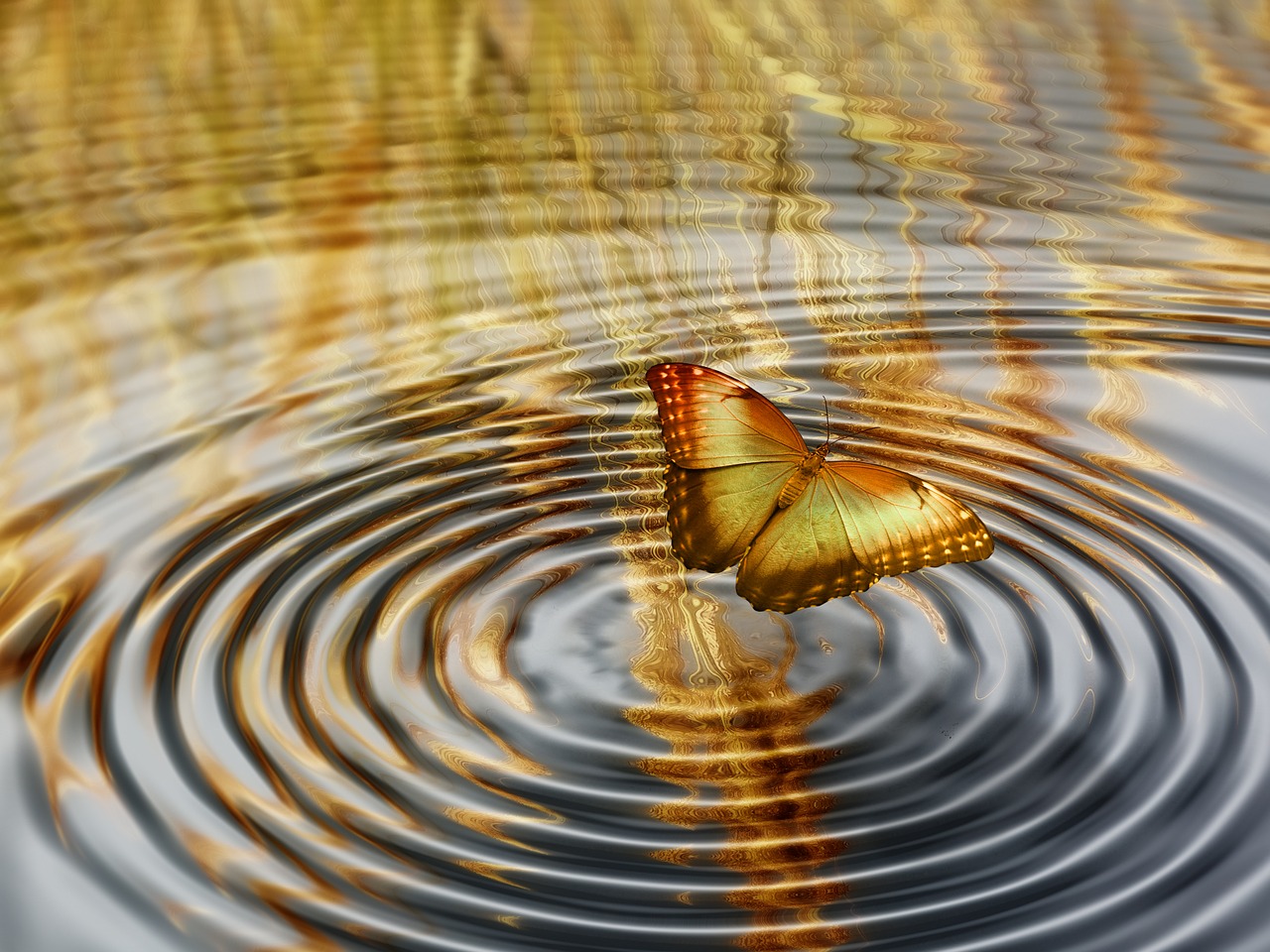 蝴蝶之吻电影，舞动爱情与人生的寓言之旅