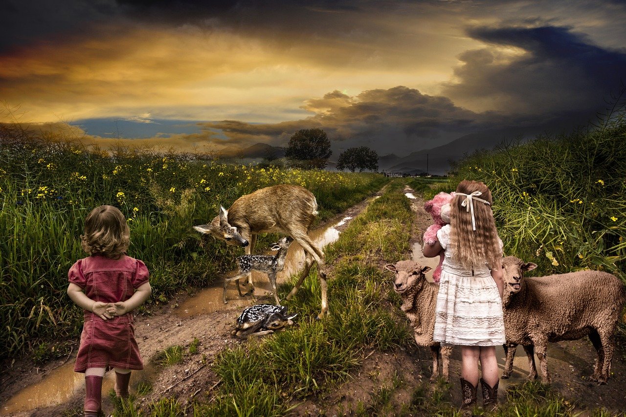 魔女的使命与动漫世界的冒险之旅