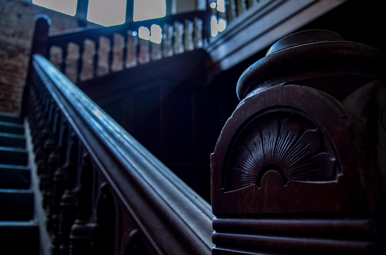 养鬼祸端最新篇章揭秘，未知黑暗世界的探索之旅