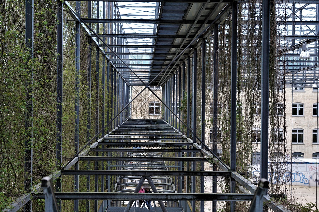 探究骚动漫头像,个性表达与文化现象的观察