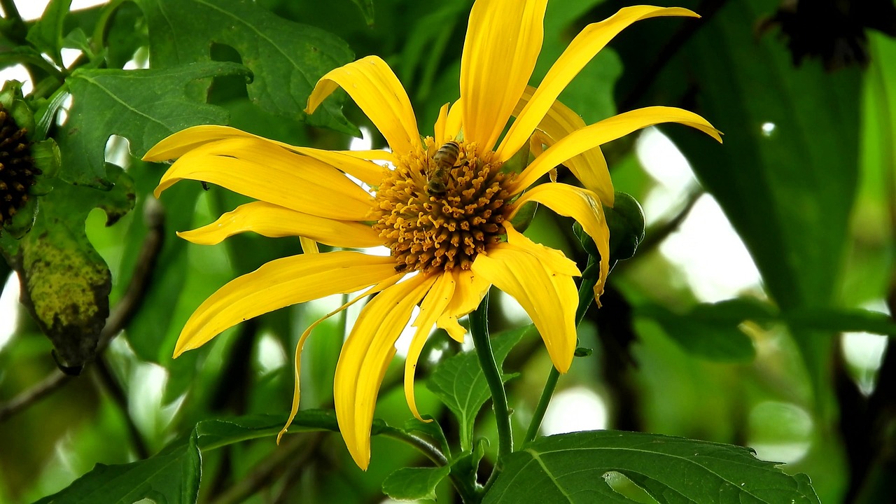 靳东影视、舞台剧与公益活动全面开花，最新动态一览