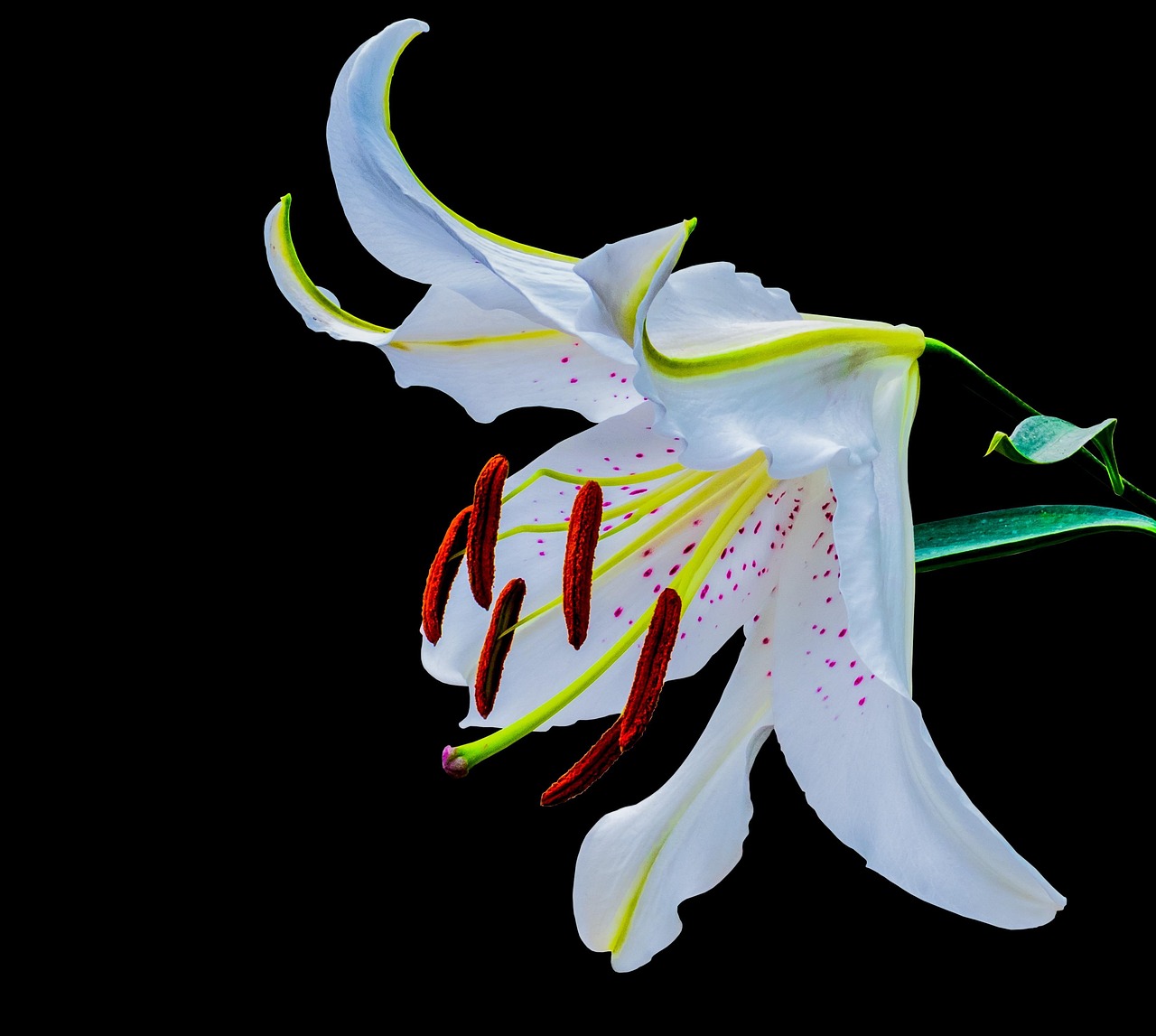 靳东影视、舞台剧与公益活动全面开花,最新动态一览