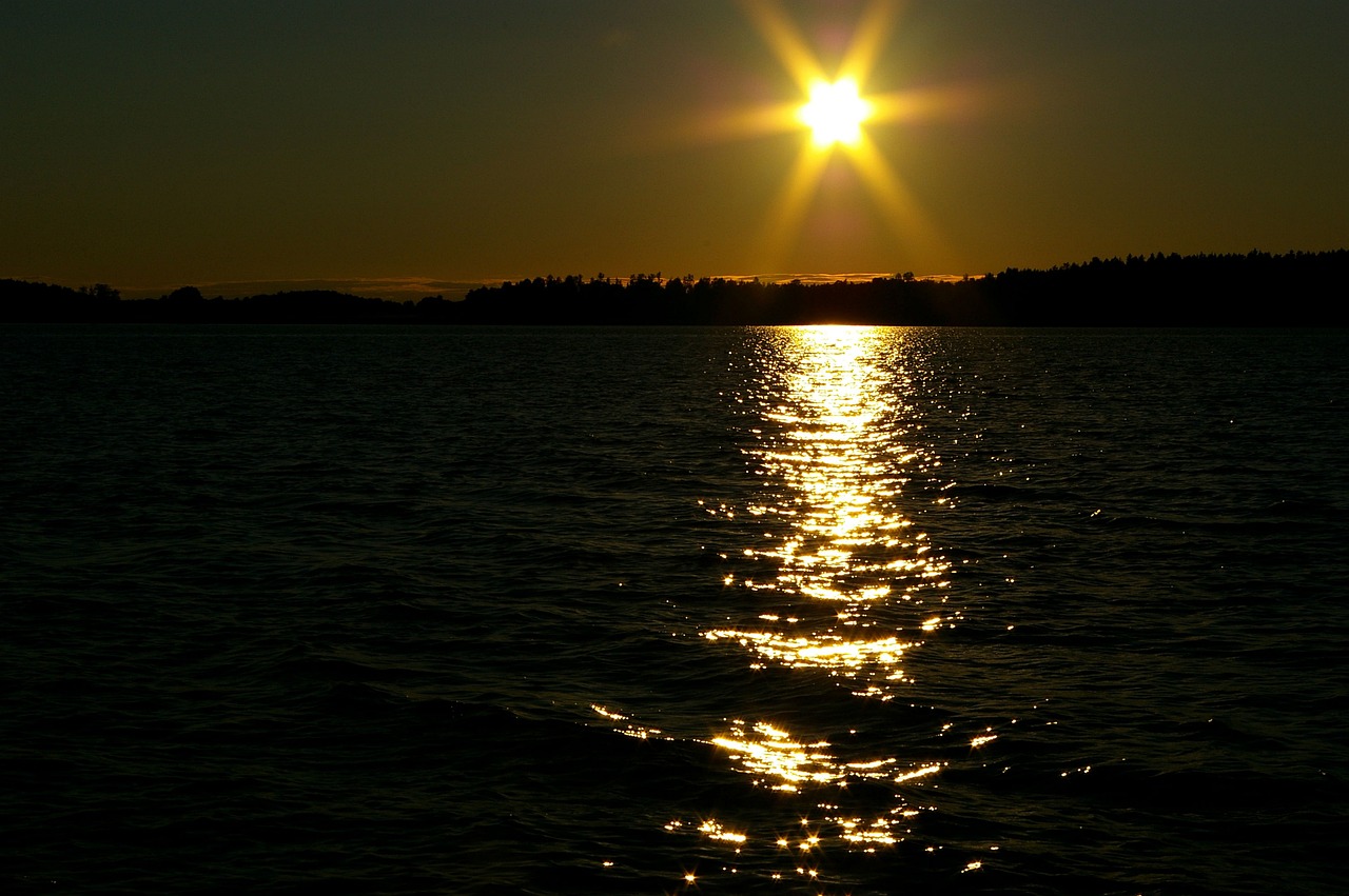 裴涩琪最新资讯，明星闪耀动态与深度解析