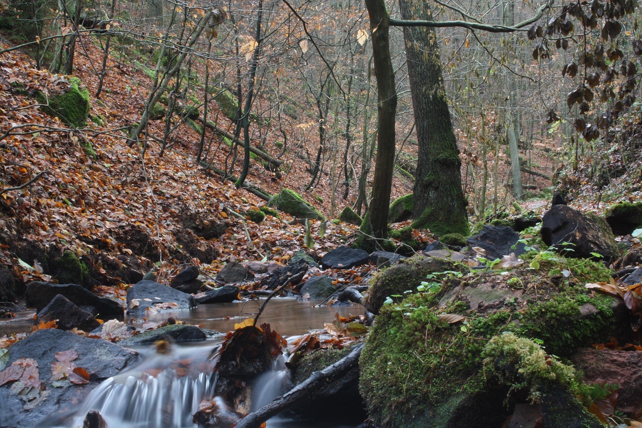 海上的孤盗 第2页