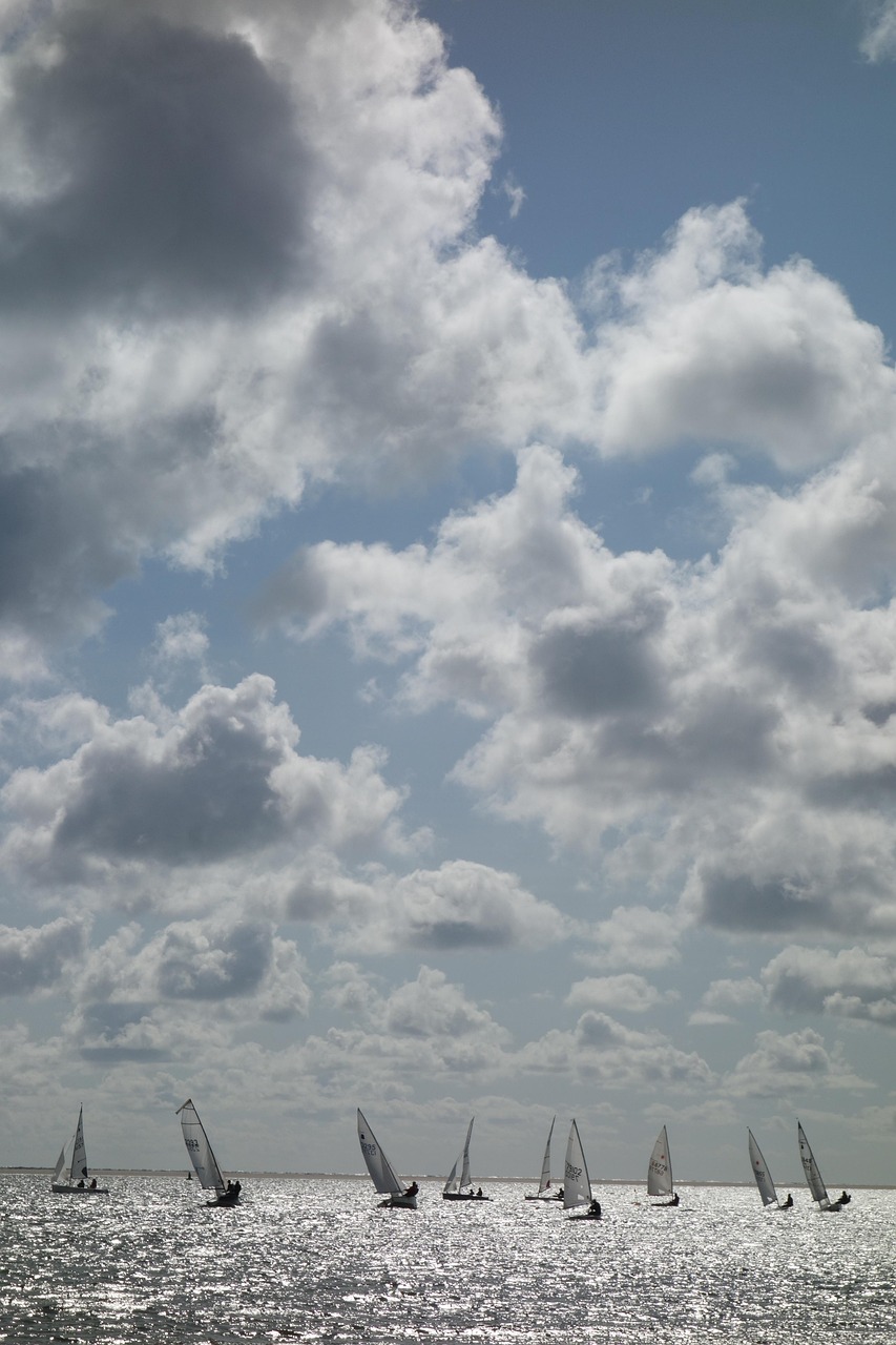 水上航模竞赛，梦想的海洋，技术的翅膀展现风采