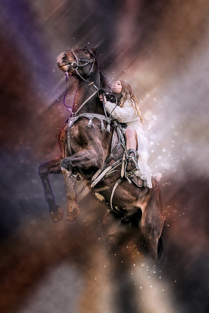 动物本能2深度解析，电影艺术与动物性本能的融合探索