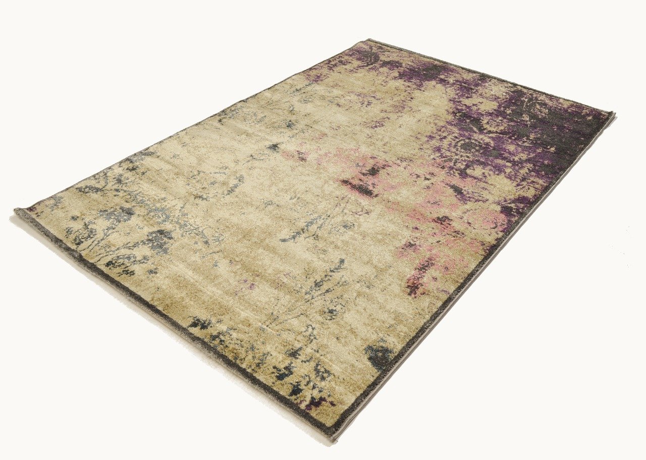 明日猪价最新分析与预测，最新动态及趋势展望