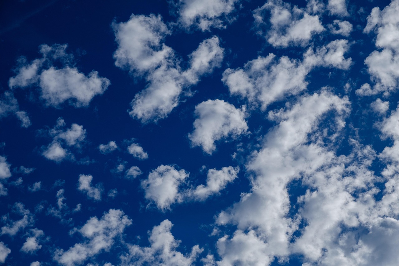 莱比锡红牛最新比赛动态更新