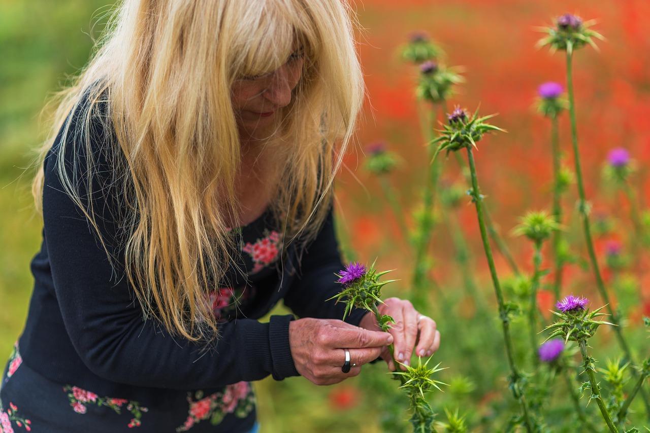 动漫少女绘画入门指南，一步步带你掌握技巧